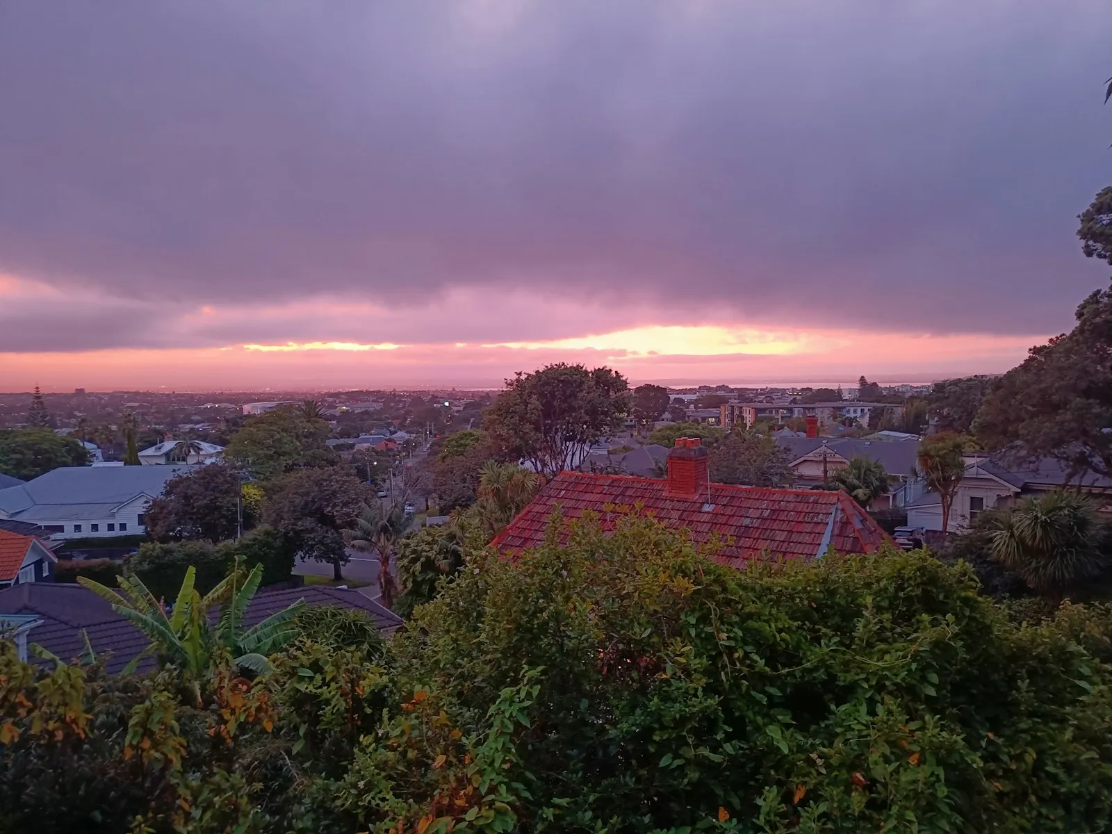 Auckland residential suburbs at sunset, viewed from a hill overlooking the harbour