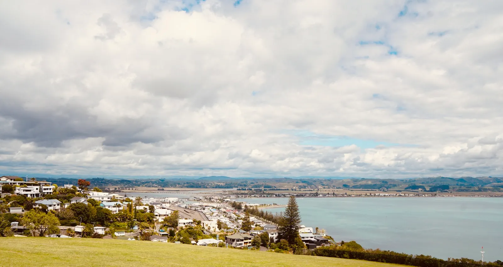 New Zealand residential investment properties overlooking a coastal suburb