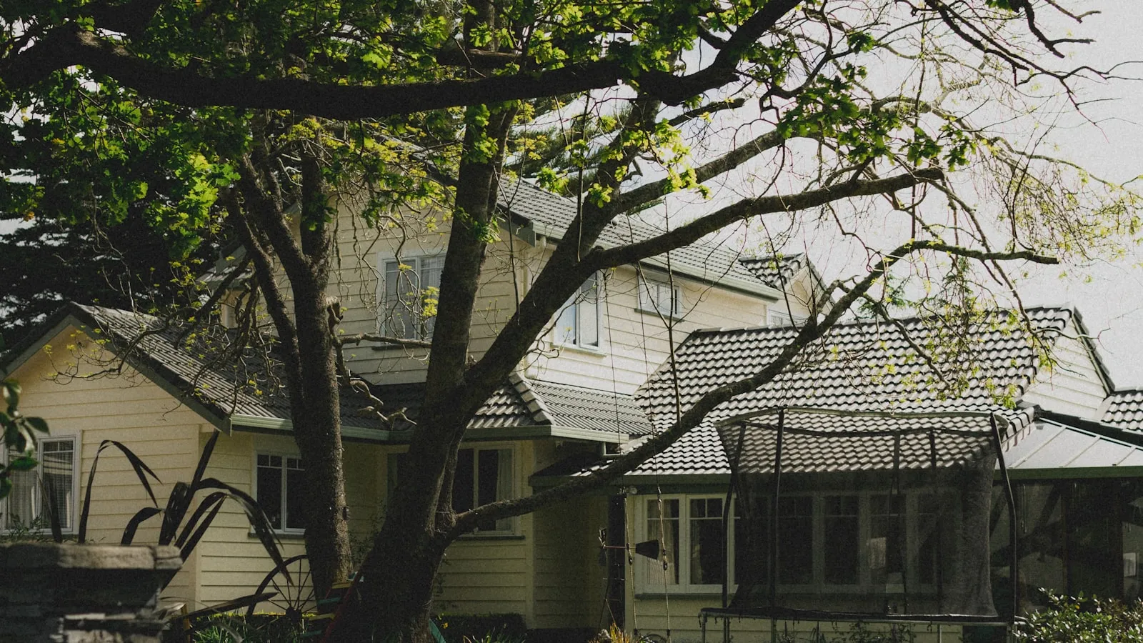 A New Zealand villa-style weatherboard house set back behind a tree-lined driveway
