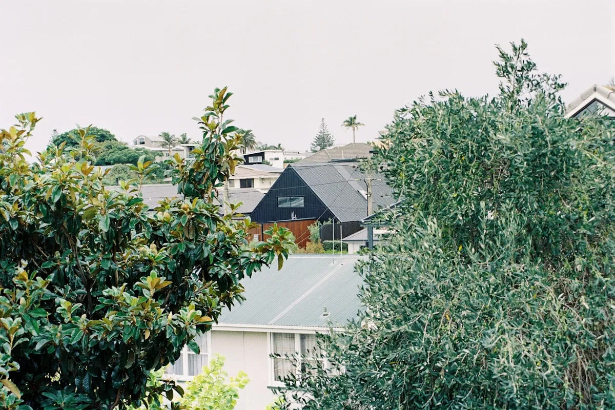 A New Zealand suburb of mixed housing seen through trees