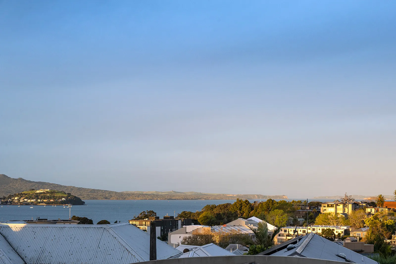Auckland harbour view over residential rooftops