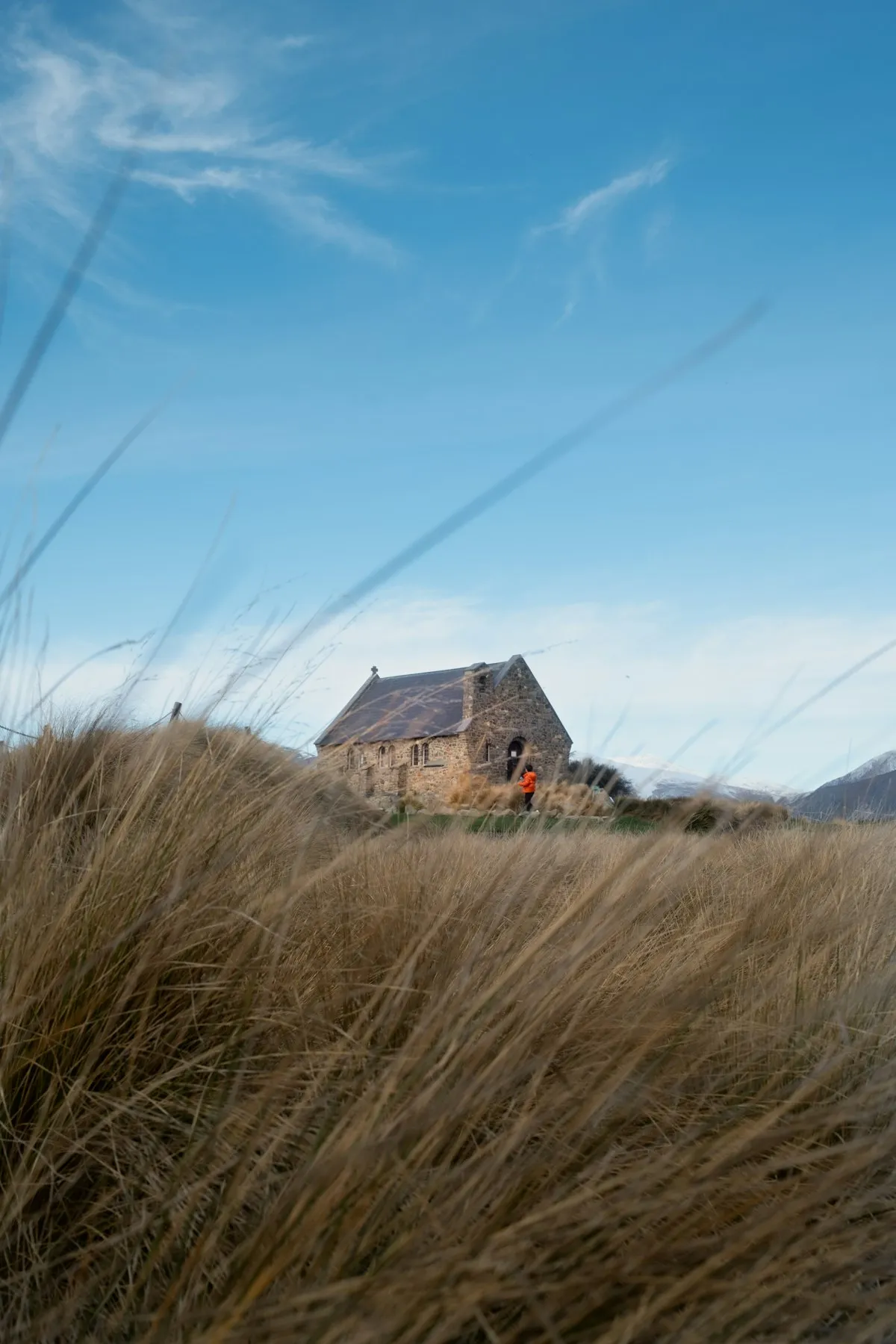 New Zealand house on a grassy hillside — typical residential property subject to building inspection before purchase