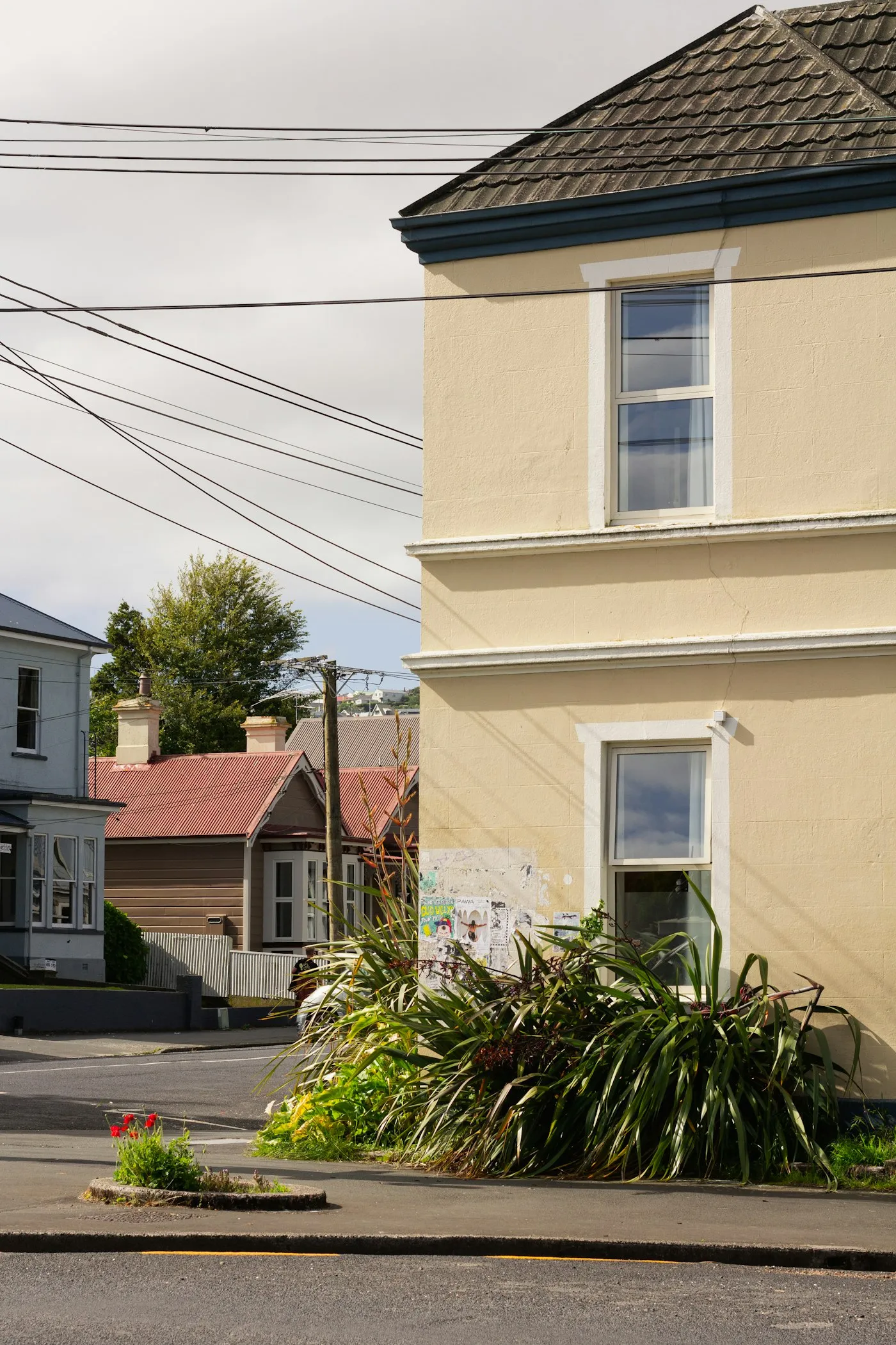 A New Zealand residential street of homes