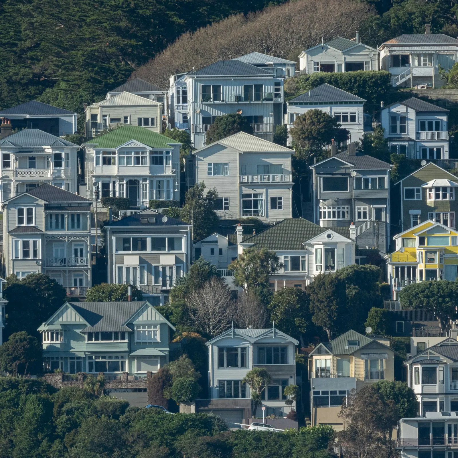 Rows of New Zealand villas and character homes on a hillside street