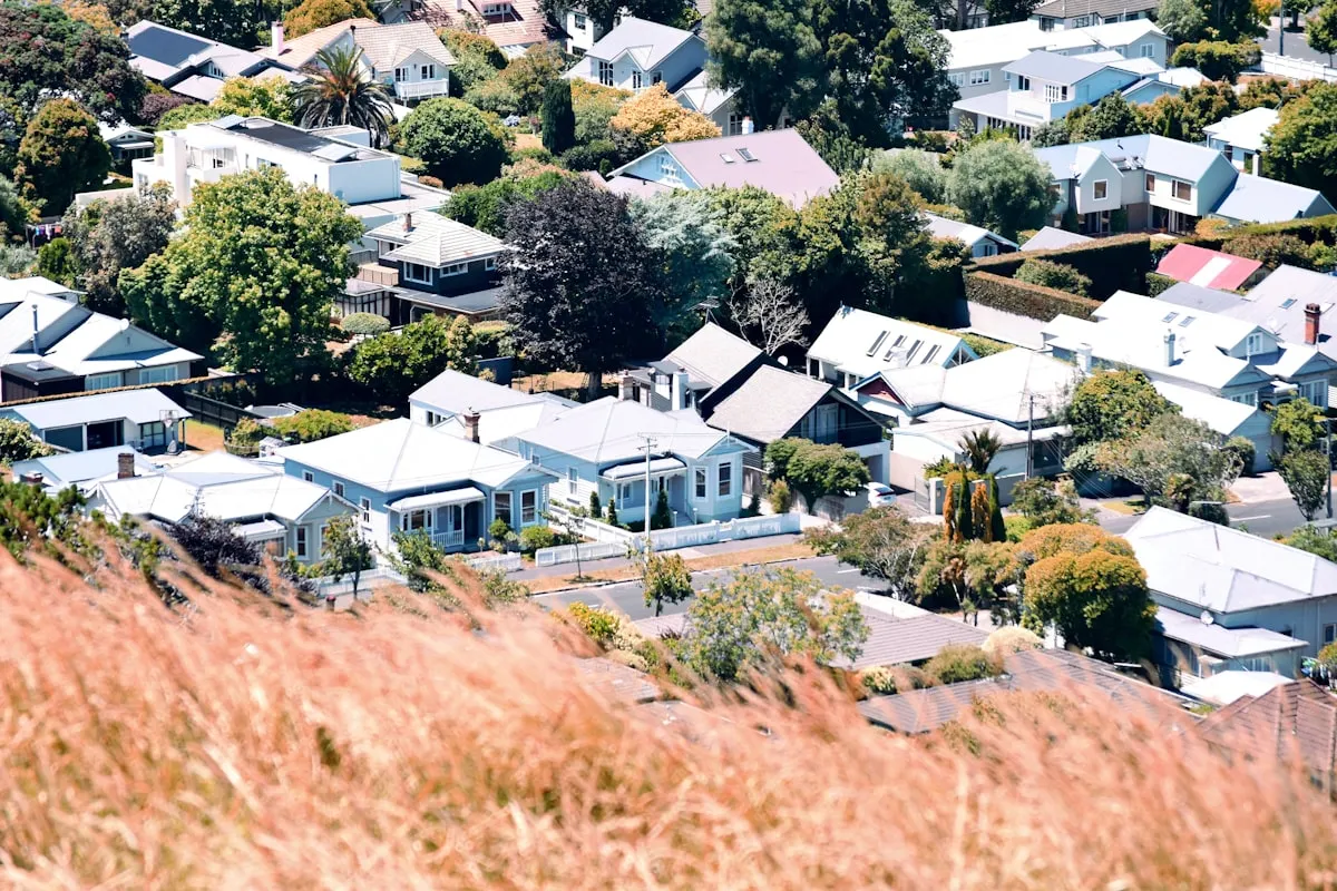 Aerial view of a New Zealand suburban neighbourhood