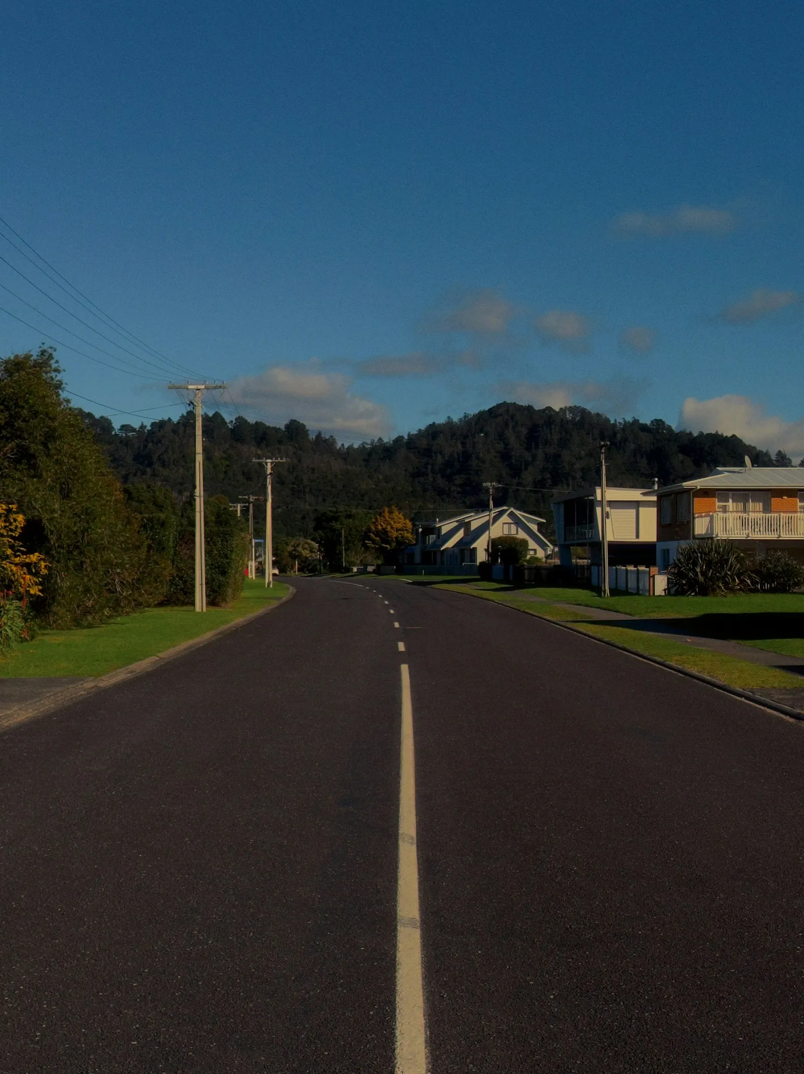A quiet residential street in Whangamatā, New Zealand, with ordinary suburban homes